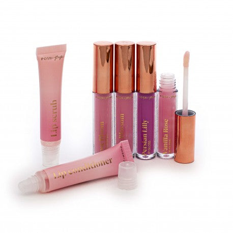 posh and pop 6 in 1 lipgloss set