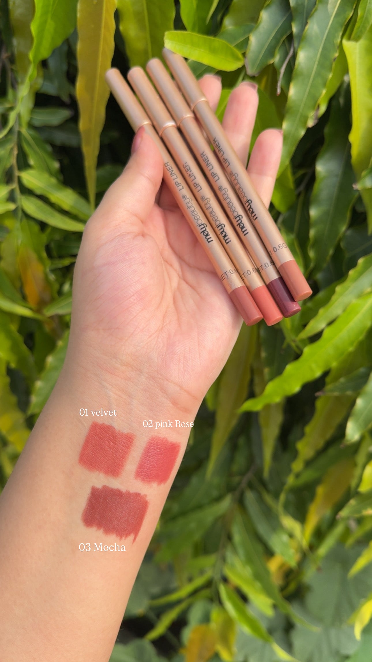 Mely Lip caryon|Shade 01 Velvet